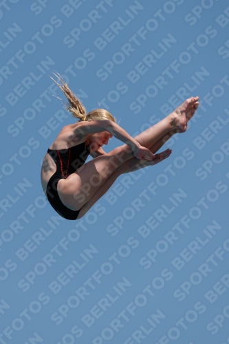 2017 - 8. Sofia Diving Cup 2017 - 8. Sofia Diving Cup 03012_20168.jpg