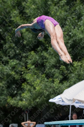 2017 - 8. Sofia Diving Cup 2017 - 8. Sofia Diving Cup 03012_20175.jpg