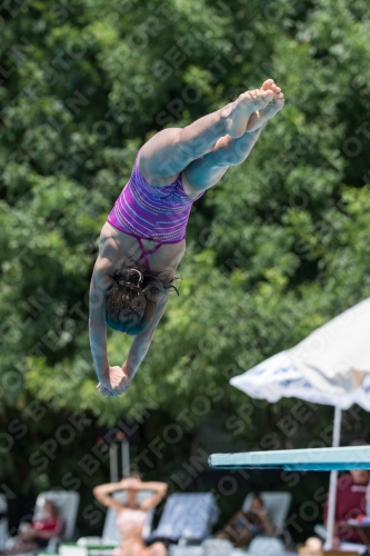 2017 - 8. Sofia Diving Cup 2017 - 8. Sofia Diving Cup 03012_20177.jpg