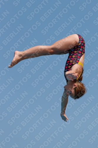 2017 - 8. Sofia Diving Cup 2017 - 8. Sofia Diving Cup 03012_20230.jpg