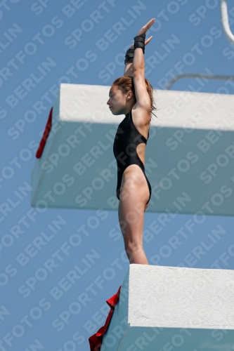 2017 - 8. Sofia Diving Cup 2017 - 8. Sofia Diving Cup 03012_20241.jpg