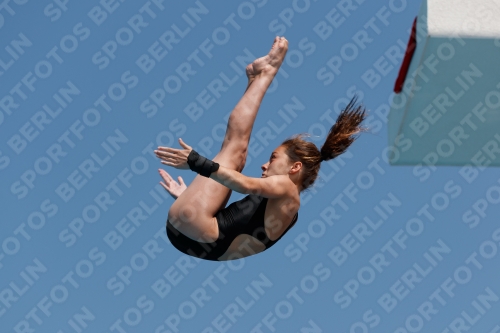 2017 - 8. Sofia Diving Cup 2017 - 8. Sofia Diving Cup 03012_20246.jpg