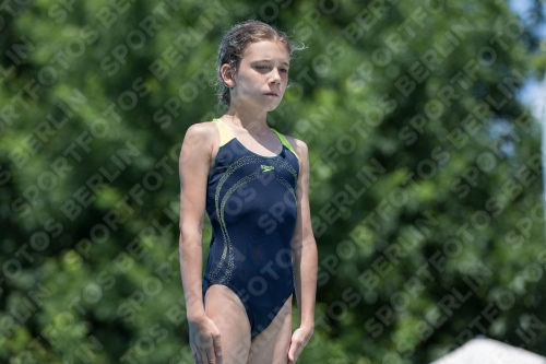 2017 - 8. Sofia Diving Cup 2017 - 8. Sofia Diving Cup 03012_20253.jpg