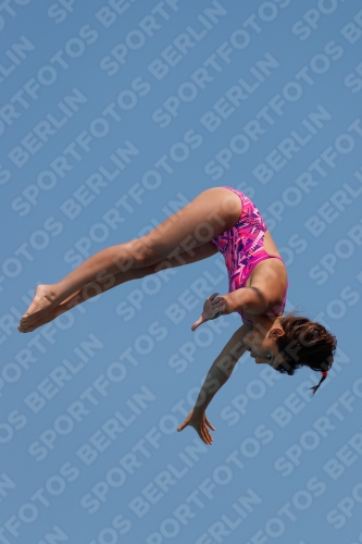 2017 - 8. Sofia Diving Cup 2017 - 8. Sofia Diving Cup 03012_20314.jpg
