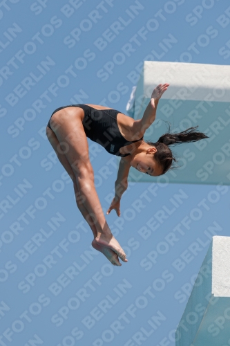 2017 - 8. Sofia Diving Cup 2017 - 8. Sofia Diving Cup 03012_20318.jpg
