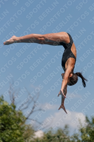 2017 - 8. Sofia Diving Cup 2017 - 8. Sofia Diving Cup 03012_20322.jpg