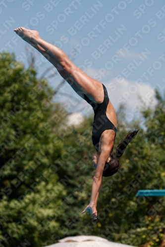 2017 - 8. Sofia Diving Cup 2017 - 8. Sofia Diving Cup 03012_20324.jpg