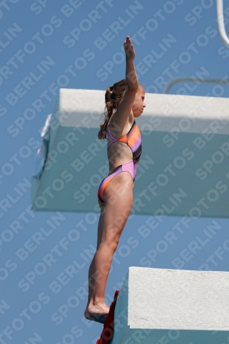 2017 - 8. Sofia Diving Cup 2017 - 8. Sofia Diving Cup 03012_20326.jpg