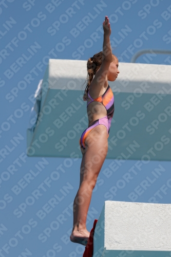 2017 - 8. Sofia Diving Cup 2017 - 8. Sofia Diving Cup 03012_20327.jpg