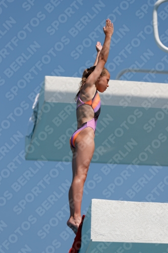 2017 - 8. Sofia Diving Cup 2017 - 8. Sofia Diving Cup 03012_20328.jpg