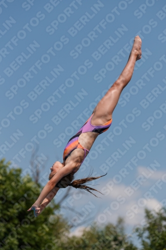 2017 - 8. Sofia Diving Cup 2017 - 8. Sofia Diving Cup 03012_20334.jpg