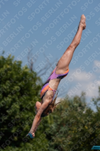 2017 - 8. Sofia Diving Cup 2017 - 8. Sofia Diving Cup 03012_20335.jpg
