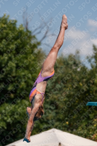 2017 - 8. Sofia Diving Cup 2017 - 8. Sofia Diving Cup 03012_20336.jpg