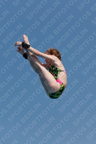 2017 - 8. Sofia Diving Cup 2017 - 8. Sofia Diving Cup 03012_20345.jpg