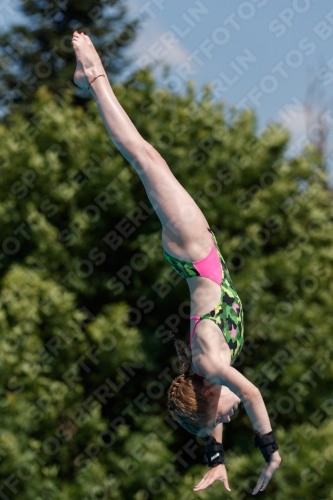 2017 - 8. Sofia Diving Cup 2017 - 8. Sofia Diving Cup 03012_20351.jpg