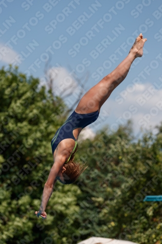 2017 - 8. Sofia Diving Cup 2017 - 8. Sofia Diving Cup 03012_20362.jpg