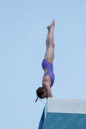 2017 - 8. Sofia Diving Cup 2017 - 8. Sofia Diving Cup 03012_20373.jpg
