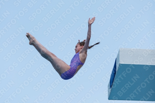 2017 - 8. Sofia Diving Cup 2017 - 8. Sofia Diving Cup 03012_20374.jpg