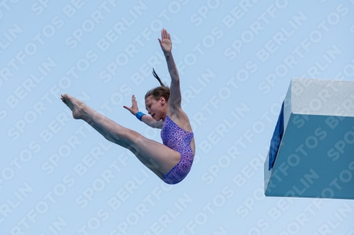 2017 - 8. Sofia Diving Cup 2017 - 8. Sofia Diving Cup 03012_20375.jpg
