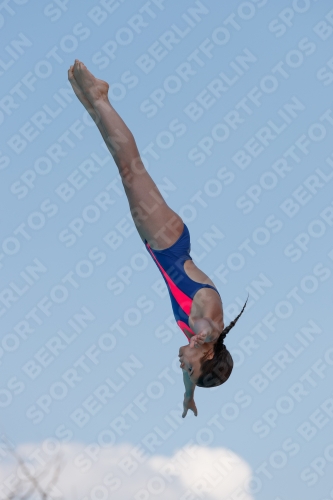 2017 - 8. Sofia Diving Cup 2017 - 8. Sofia Diving Cup 03012_20405.jpg