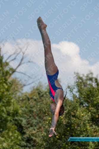 2017 - 8. Sofia Diving Cup 2017 - 8. Sofia Diving Cup 03012_20406.jpg