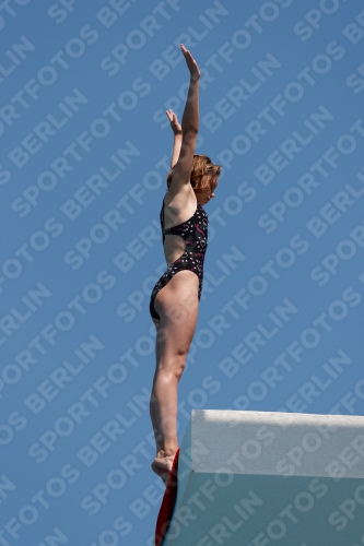 2017 - 8. Sofia Diving Cup 2017 - 8. Sofia Diving Cup 03012_20409.jpg