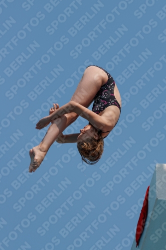 2017 - 8. Sofia Diving Cup 2017 - 8. Sofia Diving Cup 03012_20411.jpg