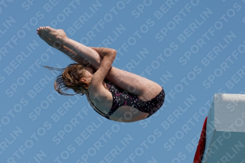 2017 - 8. Sofia Diving Cup 2017 - 8. Sofia Diving Cup 03012_20413.jpg