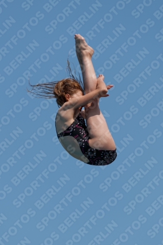 2017 - 8. Sofia Diving Cup 2017 - 8. Sofia Diving Cup 03012_20414.jpg