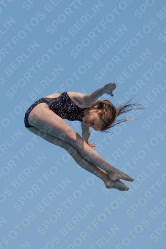 2017 - 8. Sofia Diving Cup 2017 - 8. Sofia Diving Cup 03012_20417.jpg