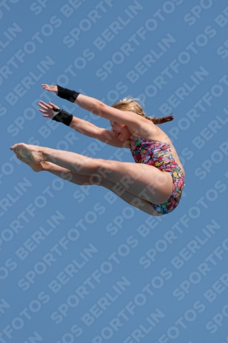 2017 - 8. Sofia Diving Cup 2017 - 8. Sofia Diving Cup 03012_20428.jpg