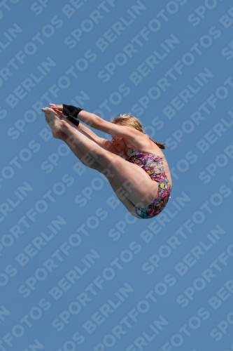 2017 - 8. Sofia Diving Cup 2017 - 8. Sofia Diving Cup 03012_20429.jpg