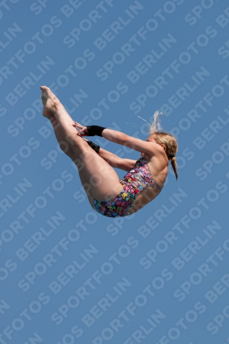 2017 - 8. Sofia Diving Cup 2017 - 8. Sofia Diving Cup 03012_20431.jpg