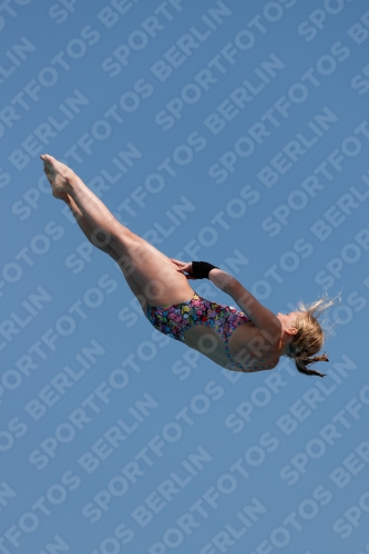 2017 - 8. Sofia Diving Cup 2017 - 8. Sofia Diving Cup 03012_20432.jpg
