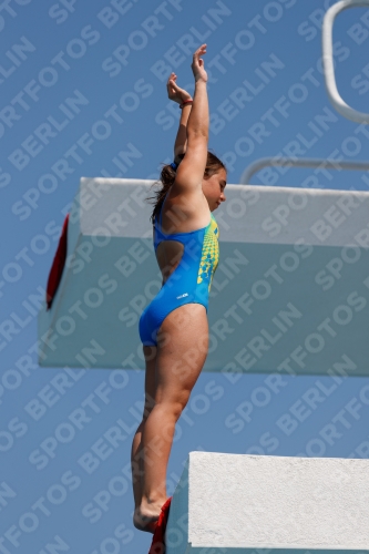 2017 - 8. Sofia Diving Cup 2017 - 8. Sofia Diving Cup 03012_20433.jpg