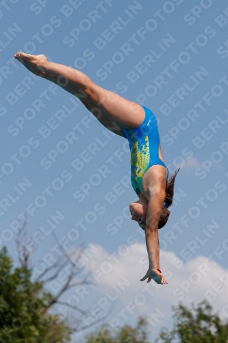 2017 - 8. Sofia Diving Cup 2017 - 8. Sofia Diving Cup 03012_20437.jpg