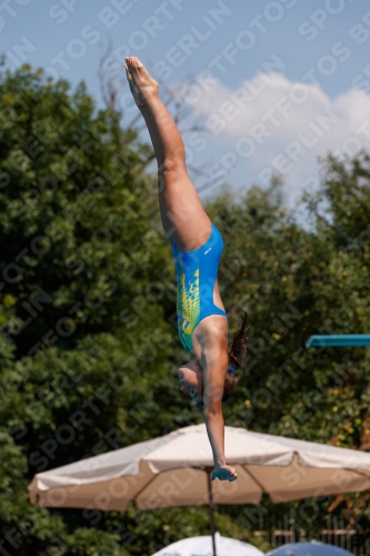 2017 - 8. Sofia Diving Cup 2017 - 8. Sofia Diving Cup 03012_20440.jpg