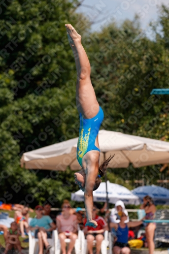 2017 - 8. Sofia Diving Cup 2017 - 8. Sofia Diving Cup 03012_20441.jpg