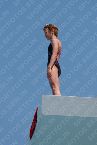 2017 - 8. Sofia Diving Cup 2017 - 8. Sofia Diving Cup 03012_20453.jpg