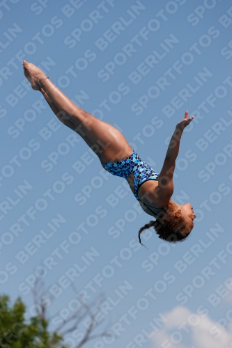 2017 - 8. Sofia Diving Cup 2017 - 8. Sofia Diving Cup 03012_20465.jpg