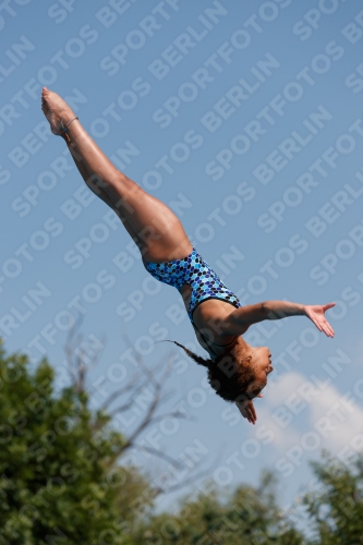 2017 - 8. Sofia Diving Cup 2017 - 8. Sofia Diving Cup 03012_20466.jpg