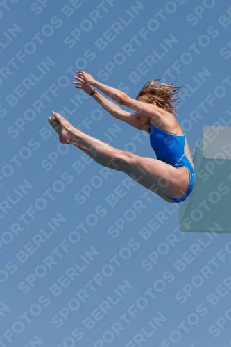 2017 - 8. Sofia Diving Cup 2017 - 8. Sofia Diving Cup 03012_20474.jpg