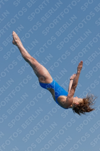 2017 - 8. Sofia Diving Cup 2017 - 8. Sofia Diving Cup 03012_20476.jpg