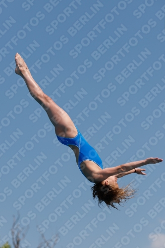 2017 - 8. Sofia Diving Cup 2017 - 8. Sofia Diving Cup 03012_20477.jpg