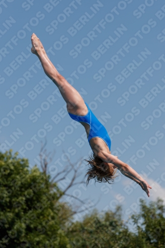 2017 - 8. Sofia Diving Cup 2017 - 8. Sofia Diving Cup 03012_20478.jpg