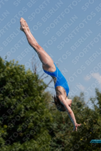 2017 - 8. Sofia Diving Cup 2017 - 8. Sofia Diving Cup 03012_20479.jpg