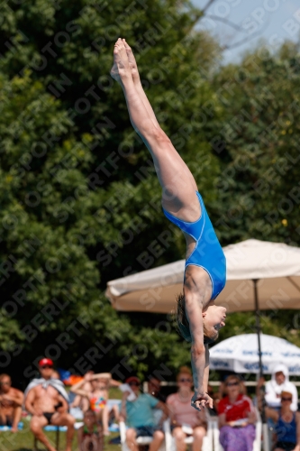 2017 - 8. Sofia Diving Cup 2017 - 8. Sofia Diving Cup 03012_20481.jpg