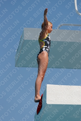 2017 - 8. Sofia Diving Cup 2017 - 8. Sofia Diving Cup 03012_20484.jpg