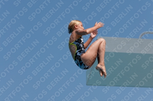 2017 - 8. Sofia Diving Cup 2017 - 8. Sofia Diving Cup 03012_20487.jpg