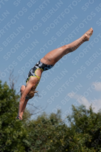 2017 - 8. Sofia Diving Cup 2017 - 8. Sofia Diving Cup 03012_20491.jpg